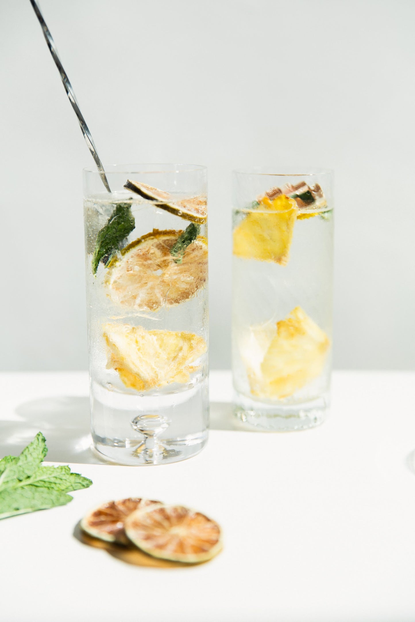 Mix Infusiones para Gin & Tonic