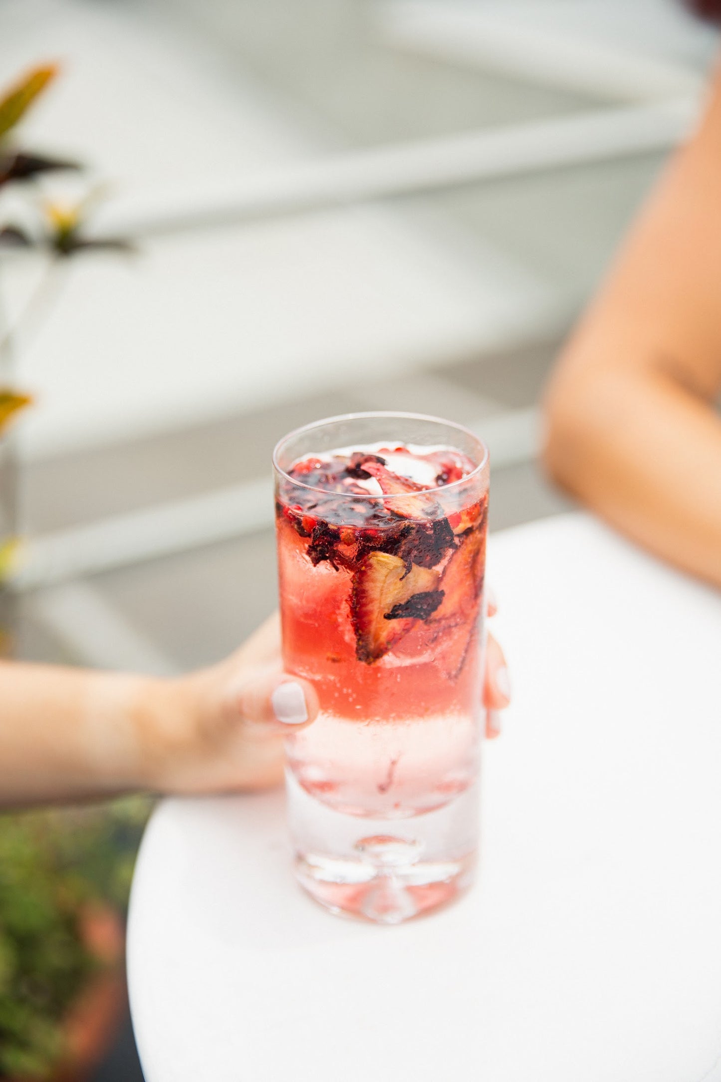 Mix Infusiones para Gin & Tonic