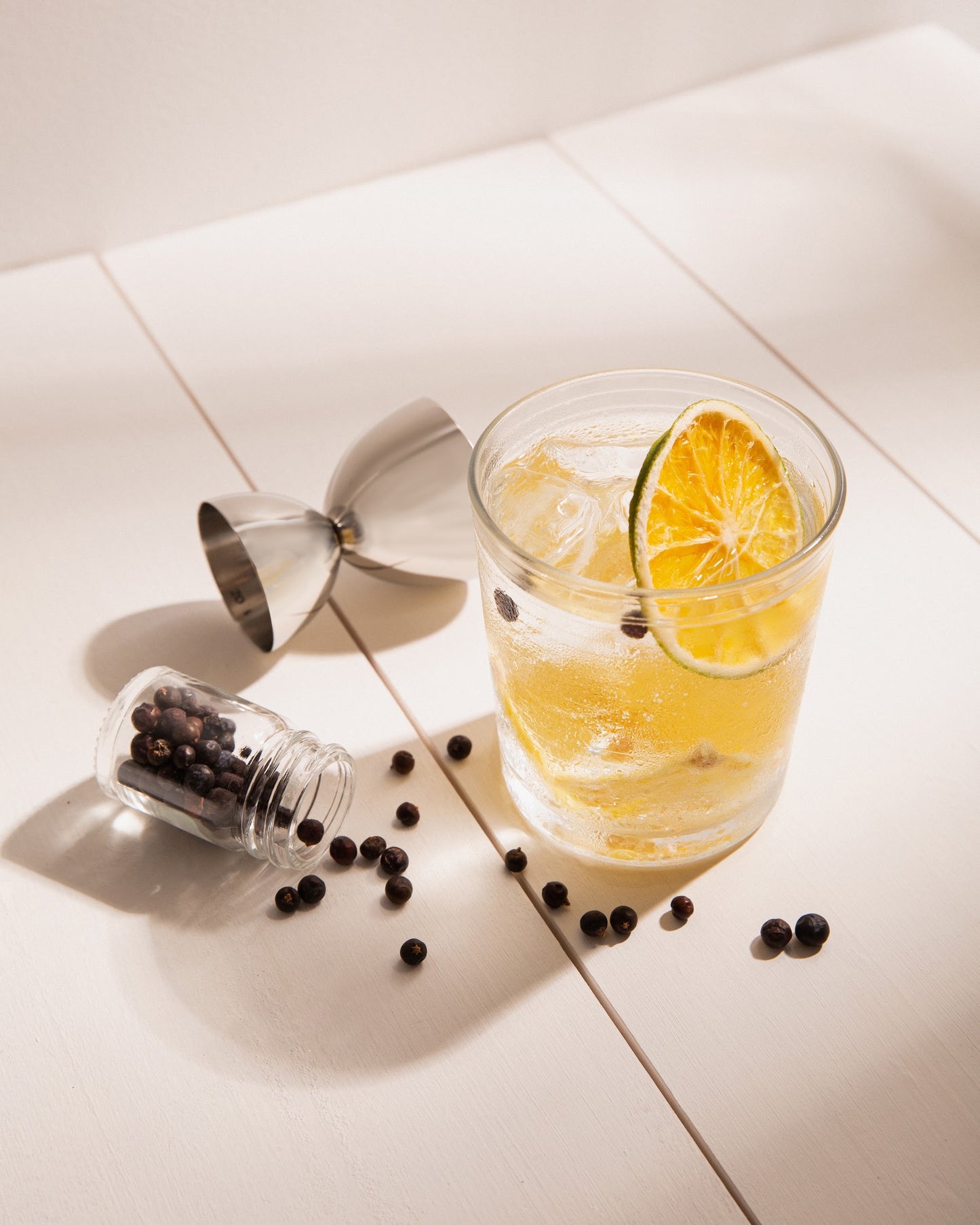 Mix Infusiones para Gin & Tonic